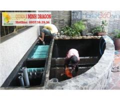 Dịch vụ vệ sinh hồ cá ở Hồ Chí Minh