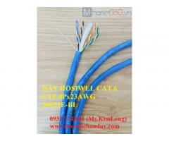 Cáp mạng LAN Cat.6E UTP 4P x 23AWG Hosiwell