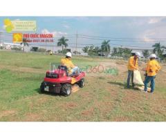 Dịch vụ cắt cỏ chuyên nghiệp trọn gói giá rẻ nhất Đồng Nai