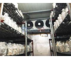 Báo giá trọn gói kho lạnh bảo quản nấm