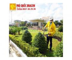 Chăm sóc cây cảnh, bảo dưỡng cảnh quan tại TPHCM, Đồng Nai