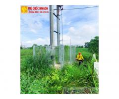 Nhận cắt cỏ - phát hoang cỏ dại trọn gói Hồ Chí Minh