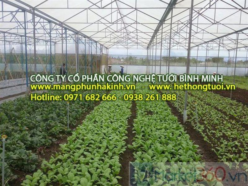 Hình ảnh 3 / 4