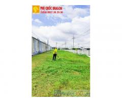 Dịch vụ cắt cỏ khuôn viên - cắt cỏ hoang giá rẻ Đồng Nai