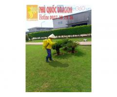 Bảo dưỡng cảnh quan - sân vườn villa resort ở Đồng Nai