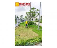 Nhận cắt cỏ phát hoang - cắt cỏ chặt cây ở Hồ Chí Minh