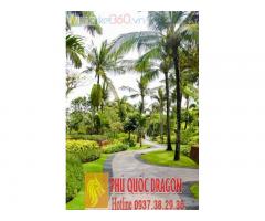 Công ty cây xanh - thiết kế chăm sóc villa resort
