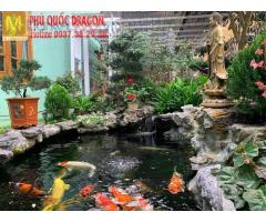 Thi công hồ cá Koi sân sân vườn đẹp - dịch vụ vệ sinh hồ cá
