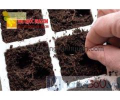 Báo giá cung cấp đất màu trồng cây KV HCM, Đồng Nai