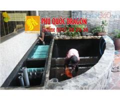 Dịch vụ vệ sinh hồ cá Koi, chữa bệnh cá Koi ở Hồ Chí Minh