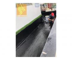 Dịch vụ vệ sinh hồ cá chuyên nghiệp ở Hồ Chí Minh