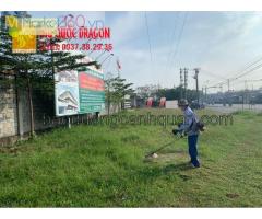 Cắt cỏ dại, phát hoang cỏ ở Đồng Nai, TPHCM, BRVT