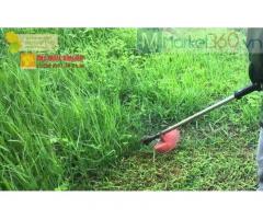 Dịch vụ cắt cỏ giá rẻ Hồ Chí Minh