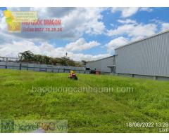 Dịch vụ cắt cỏ phát hoang dự án Đồng Nai, TPHCM