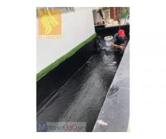 Dịch vụ vệ sinh hồ cá Koi ở Hồ Chí Minh