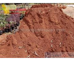 Cung cấp đất màu, đất phù sa trồng cây ở TPHCM, Đồng Nai, BRVT