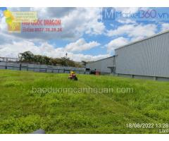 Công ty cây xanh, cắt cỏ ở Đồng Nai , TPHCM