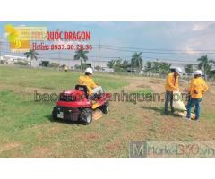Dịch vụ cắt cỏ trọn gói giá rẻ nhất ở Đồng Nai, TPHCM