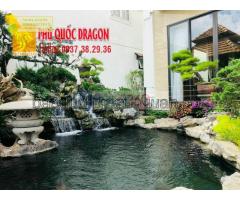 Không gian, vị trí thiết kế hồ cá koi sân vườn ở Đồng Nai