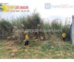 Dịch vụ cắt cỏ, cắt tỉa cây xanh Đồng Nai, HCM