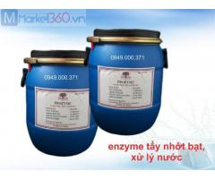 Enzyme xử lý nhớt bạt, làm sạch nước (PROZYME)