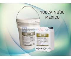 Yucca nước Mexico (yucca schidigera liquid) giá tốt