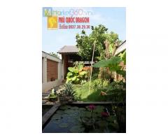 Thiết kế thi công sân vườn đẹp ở Đồng Nai, HCM