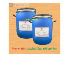 Men đường ruột Lactobacillus acidophilus đơn dòng cho thủy sản