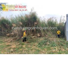 Dịch vụ cắt cỏ, phát hoang cỏ dự án ở TpHCM, Đồng Nai