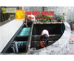 Dịch vụ vệ sinh hồ cá Koi Đồng Nai, TpHcm, Brvt