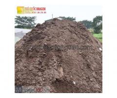Cung cấp đất màu sạch trồng cây TPHCM, Đồng Nai