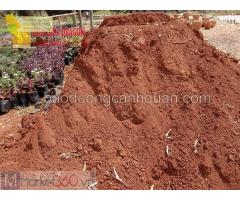 Đất màu trồng cây, đất đổ công trình Đồng Nai, Brvt, Hcm..