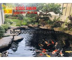 Vị trí phù hợp thiết kế hồ cá Koi trong sân vườn nhà