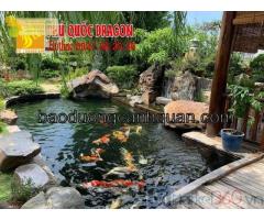 Thiết kế thi công hồ cá Koi ở Đồng Nai, Hcm, Vt…