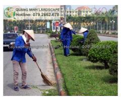 Dịch vụ vệ sinh sân vườn ở TpHcm Đồng Nai