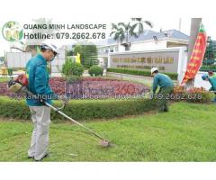 Công ty cây xanh, dv cắt cỏ ở Đồng Nai , Hcm