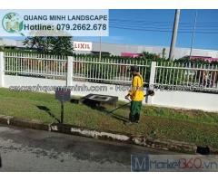 Dịch vụ cắt cỏ trọn gói giá rẻ ở tại Đồng Nai, TpHcm…