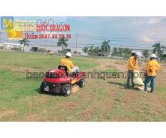 Dịch vụ cắt cỏ khuôn viên nhà máy ở tại Đồng Nai, TpHcm