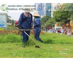 Dịch vụ cắt cỏ, diệt cỏ giá cạnh tranh ở Đồng Nai. Hcm