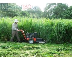 Dịch vụ cắt cỏ phát hoang nhà máy ở Đồng Nai, Hcm