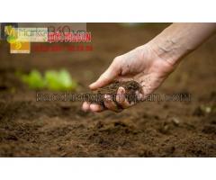 Đất sạch trồng cây chất lượng ở Đồng Nai, Hcm