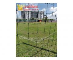 Dịch vụ trồng c.ỏ lá gừng sân bóng đá ở Hcm, Đồng Nai