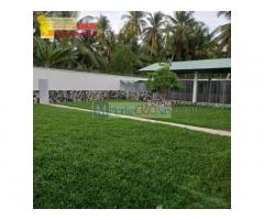 Dịch vụ chăm sóc cây xanh, sân vườn Đồng Nai, Hcm