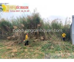 Dịch vụ cắt cỏ phát hoang nhanh - rẻ ở Đồng Nai, Hcm