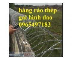 Đại Lý Dây Thép Gai Hình Dao, Kẽm Gai Hình Lưỡi Dao Chống Trộm Tại Hà Nội