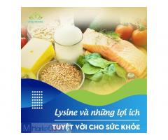 Sữa bột Meriten Similk Chính Hãng 400g Kenko Pharma TP0024 New Zeland