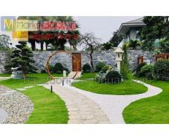 Thiết kế thi công sân vườn Nhật, hồ Koi ở Đồng Nai, Hcm