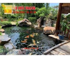 Vệ sinh hồ cá Koi, chăm sóc chữa bệnh cá ở Hcm, Đồng Nai
