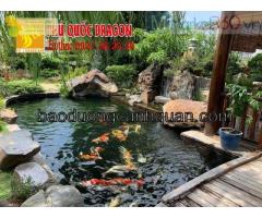 Thi công hồ cá Koi đặc sắc năm 2023 ở Đồng Nai, Hcm