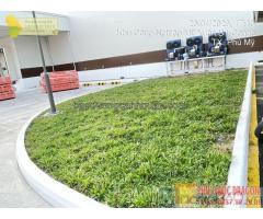 Công ty cây xanh, design sân vườn ở Đồng Nai, Hcm